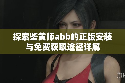 探索鉴黄师abb的正版安装与免费获取途径详解