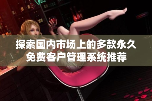 探索国内市场上的多款永久免费客户管理系统推荐