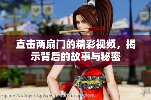 直击两扇门的精彩视频，揭示背后的故事与秘密