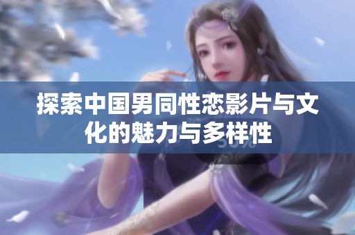 探索中国男同性恋影片与文化的魅力与多样性