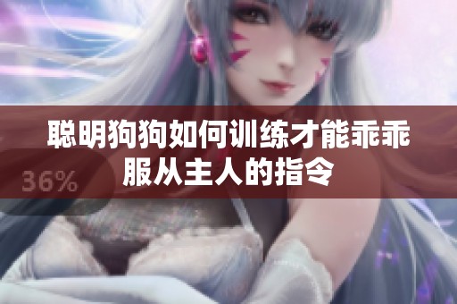 聪明狗狗如何训练才能乖乖服从主人的指令