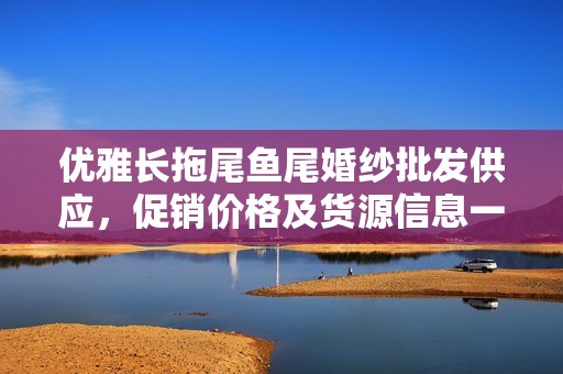 优雅长拖尾鱼尾婚纱批发供应，促销价格及货源信息一览