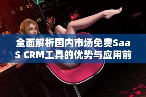 全面解析国内市场免费SaaS CRM工具的优势与应用前景