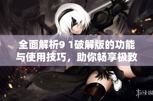 全面解析9 1破解版的功能与使用技巧，助你畅享极致体验