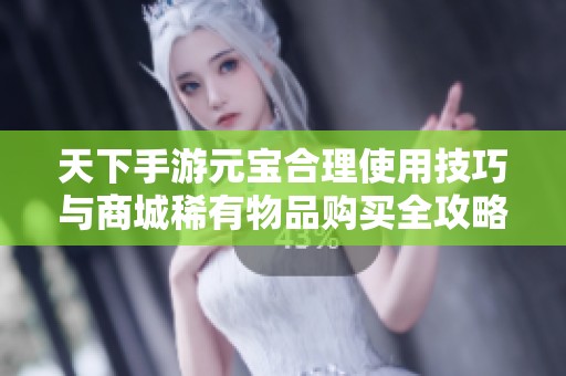 天下手游元宝合理使用技巧与商城稀有物品购买全攻略