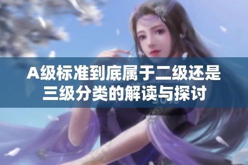 A级标准到底属于二级还是三级分类的解读与探讨