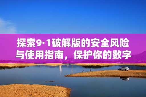 探索9·1破解版的安全风险与使用指南，保护你的数字资产