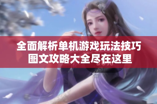 全面解析单机游戏玩法技巧 图文攻略大全尽在这里