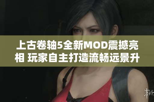 上古卷轴5全新MOD震撼亮相 玩家自主打造流畅远景升级体验
