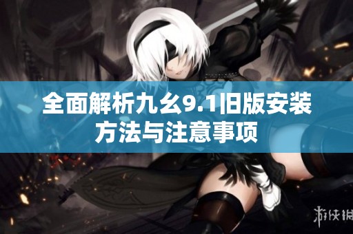 全面解析九幺9.1旧版安装方法与注意事项