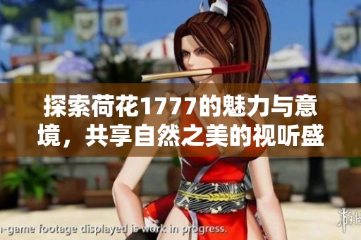 探索荷花1777的魅力与意境，共享自然之美的视听盛宴