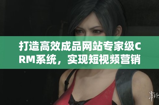 打造高效成品网站专家级CRM系统，实现短视频营销全面提升