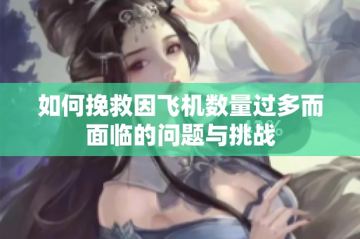 如何挽救因飞机数量过多而面临的问题与挑战