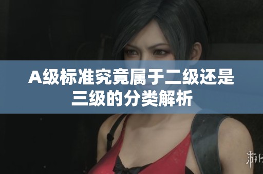 A级标准究竟属于二级还是三级的分类解析