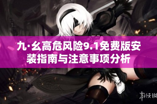 九·幺高危风险9.1免费版安装指南与注意事项分析