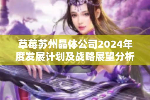 草莓苏州晶体公司2024年度发展计划及战略展望分析