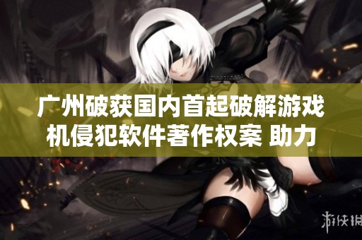 广州破获国内首起破解游戏机侵犯软件著作权案 助力版权保护新举措