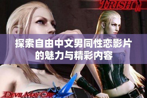 探索自由中文男同性恋影片的魅力与精彩内容