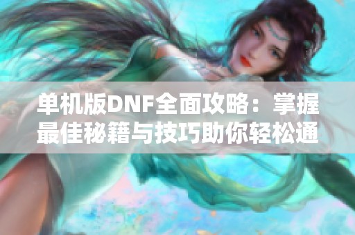 单机版DNF全面攻略：掌握最佳秘籍与技巧助你轻松通关