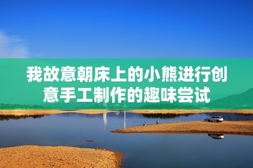 我故意朝床上的小熊进行创意手工制作的趣味尝试