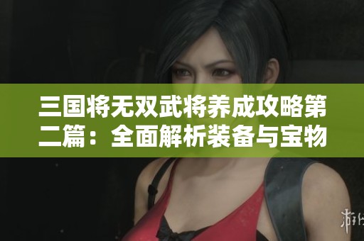 三国将无双武将养成攻略第二篇：全面解析装备与宝物的获取与培养
