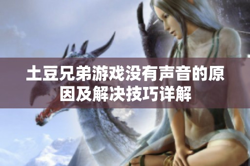 土豆兄弟游戏没有声音的原因及解决技巧详解
