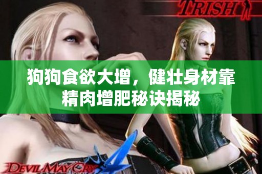 狗狗食欲大增，健壮身材靠精肉增肥秘诀揭秘