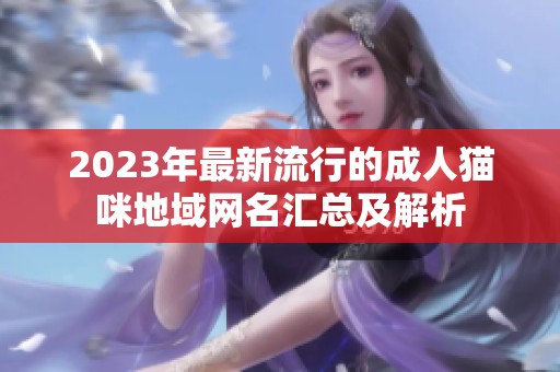 2023年最新流行的成人猫咪地域网名汇总及解析