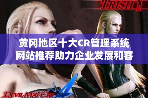 黄冈地区十大CR管理系统网站推荐助力企业发展和客户关系维护
