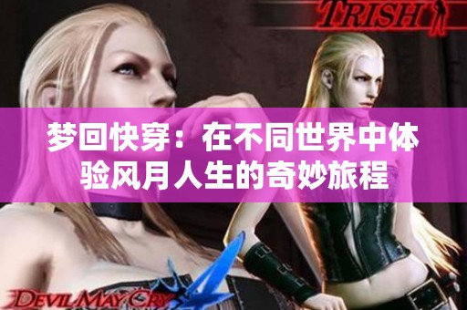 梦回快穿：在不同世界中体验风月人生的奇妙旅程