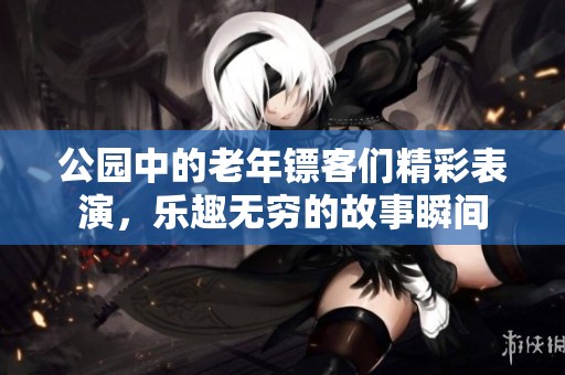 公园中的老年镖客们精彩表演，乐趣无穷的故事瞬间