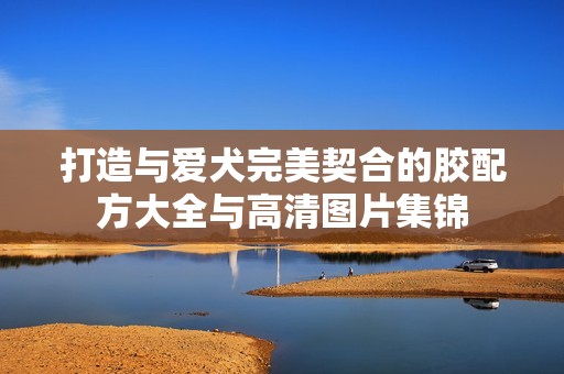打造与爱犬完美契合的胶配方大全与高清图片集锦