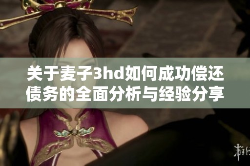 关于麦子3hd如何成功偿还债务的全面分析与经验分享