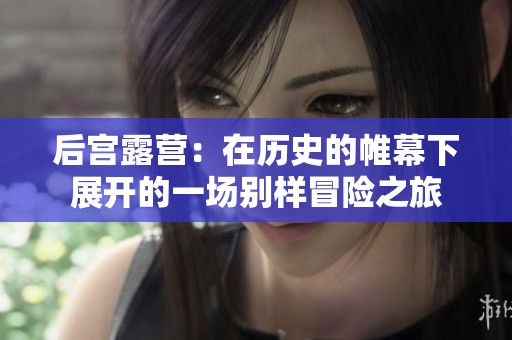 后宫露营：在历史的帷幕下展开的一场别样冒险之旅