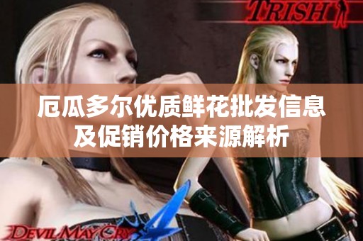 厄瓜多尔优质鲜花批发信息及促销价格来源解析