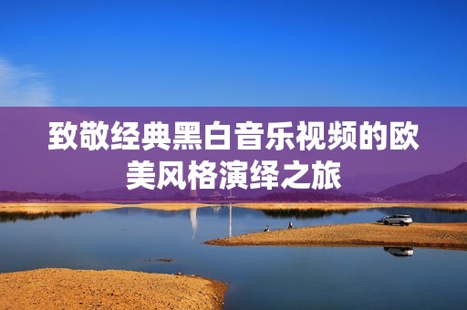 致敬经典黑白音乐视频的欧美风格演绎之旅