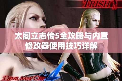 太阁立志传5全攻略与内置修改器使用技巧详解