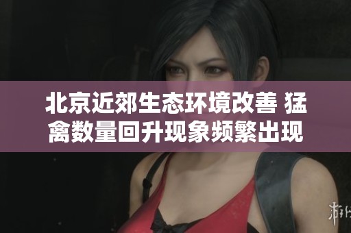 北京近郊生态环境改善 猛禽数量回升现象频繁出现