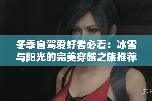 冬季自驾爱好者必看：冰雪与阳光的完美穿越之旅推荐