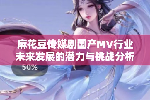 麻花豆传媒剧国产MV行业未来发展的潜力与挑战分析