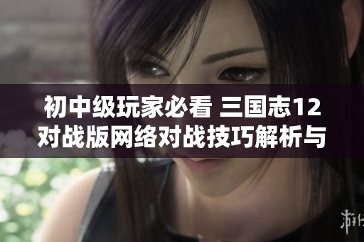 初中级玩家必看 三国志12对战版网络对战技巧解析与攻略分享