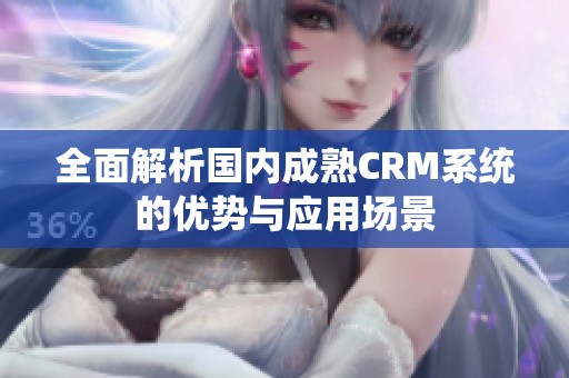 全面解析国内成熟CRM系统的优势与应用场景
