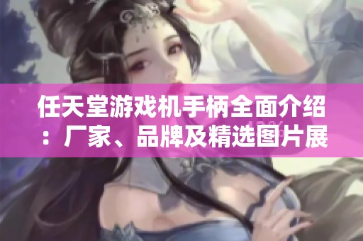 任天堂游戏机手柄全面介绍：厂家、品牌及精选图片展示