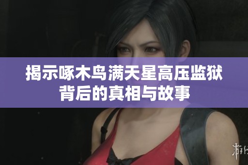 揭示啄木鸟满天星高压监狱背后的真相与故事