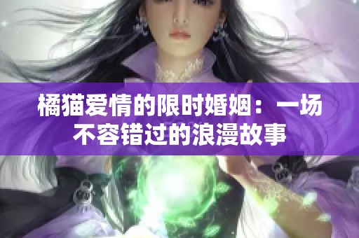 橘猫爱情的限时婚姻：一场不容错过的浪漫故事