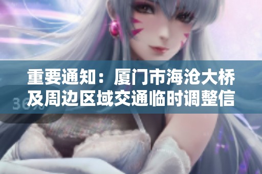 重要通知：厦门市海沧大桥及周边区域交通临时调整信息