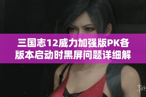 三国志12威力加强版PK各版本启动时黑屏问题详细解决方案探讨