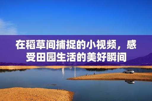 在稻草间捕捉的小视频，感受田园生活的美好瞬间