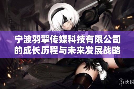宁波羽擎传媒科技有限公司的成长历程与未来发展战略分析