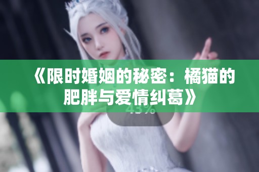 《限时婚姻的秘密：橘猫的肥胖与爱情纠葛》